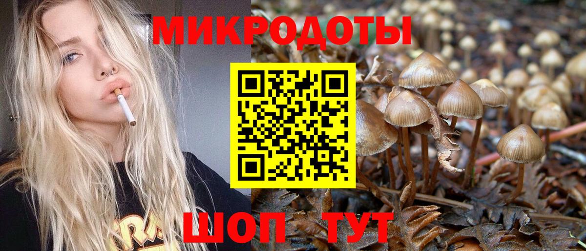 Галлюциногенные грибы GOLDEN TEACHER Елабуга