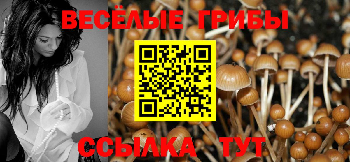 Кокаин  КОКАИН  АМФ   Мефедрон  Мефедрон кристаллы  Гашиш  Гашиш  Каннабис  Каннабис  Елабуга  Вход с VPN  Экстази 