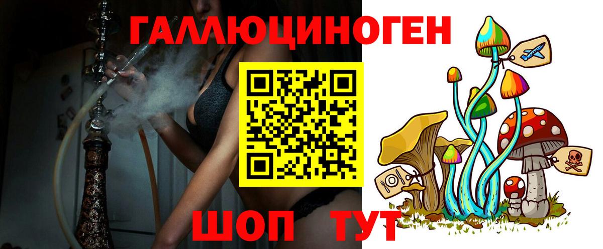 Псилоцибиновые грибы Psilocybine cubensis  Псилоцибиновые грибы GOLDEN TEACHER  купить наркотики сайты  Елабуга  Вход с VPN 